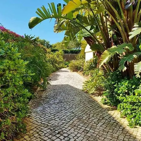 Seaview D'arens Alvor